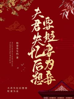 《夫君失忆后想要贬妻为妾》小说章节列表在线阅读 崔意筎谢临小说阅读