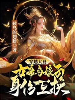 穿越大夏，女帝与娘子身份互换by候鸟的翅膀 许文君蓝沐云在线阅读