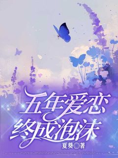 《五年爱恋，终成泡沫》小说完结版在线试读 陆晚晚傅温言小说全文