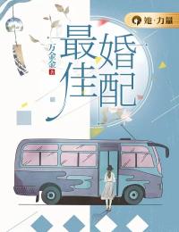 《最佳婚配》姜宥洛西行小说在线阅读