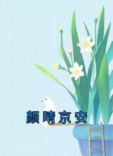 《颜晴京安》小说章节目录在线阅读 颜晴京安小说全文