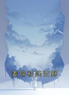 《姜锦初陆西野》小说章节列表免费阅读 姜锦初陆西野小说全文