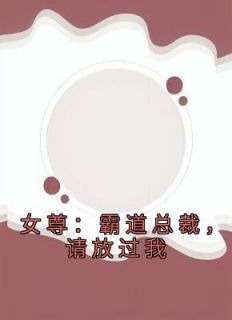 女尊：霸道总裁，请放过我主角叶瑄宁沐雨小说精彩章节全文免费试读