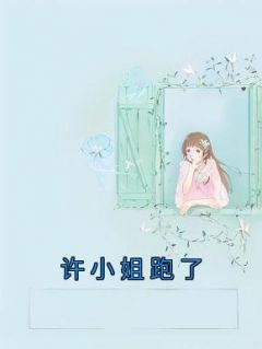 《许小姐跑了》小说章节列表在线试读 许妍夏雪落小说全文