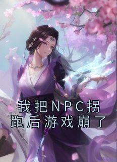 《我把NPC拐跑后游戏崩了》小说全文精彩试读 苏意沈慕白小说阅读