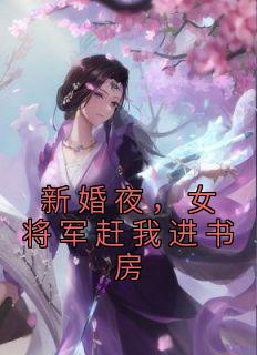 《新婚夜，女将军赶我进书房》李子柒苏紫雪完结版精彩阅读