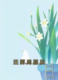 《连雾周嘉辰》连雾陆西野小说全本在线阅读