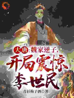 魏叔玉魏书琬小说 《大唐：魏家逆子，开局震惊李世民》小说全文在线试读