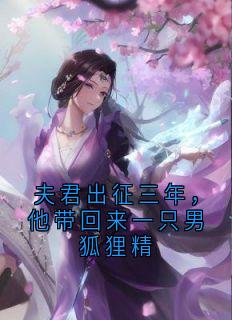 《夫君出征三年，他带回来一只男狐狸精》顾沅裴玄胡盈全文在线阅读