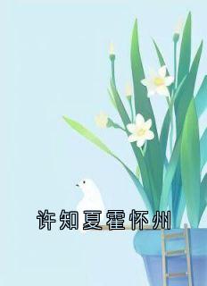 《许知夏霍怀州》完结版在线阅读 《许知夏霍怀州》最新章节目录