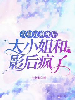 《我和兄弟死后，大小姐和影后疯了》小说全集免费在线阅读（乔慕婷陈希媛方智勤罗岳）