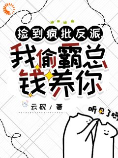 捡到疯批反派，我偷霸总钱养你沈诺傅初霁沈淮全本大结局阅读