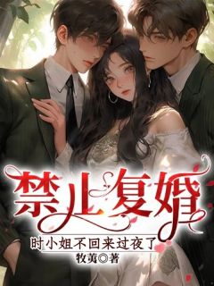 《禁止复婚，时小姐不回来过夜了》小说精彩阅读 《禁止复婚，时小姐不回来过夜了》最新章节列表