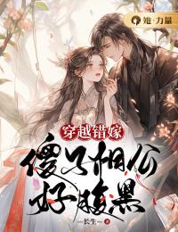 《穿越错嫁：傻子相公好腹黑》小说全集免费免费试读（安平遥宁知）