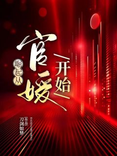 《崛起从官媛开始》小说全文免费阅读 《崛起从官媛开始》最新章节目录