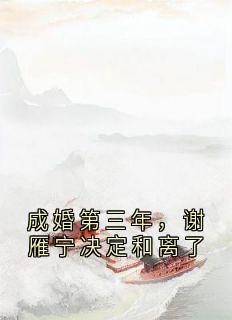 《成婚第三年，谢雁宁决定和离了》谢雁宁顾长卿章节在线阅读